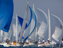 Mondiale Platu 25
nelle acque di Punta Ala